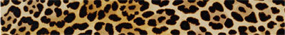 Бордюр (5x40) Lel 053 F. Do Giallo Leopardo - Zoo Design з колекції Zoo Design Horus Art