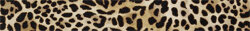 Бордюр (5x40) Lel 054 F. Do Bianco Leopardo - Zoo Design