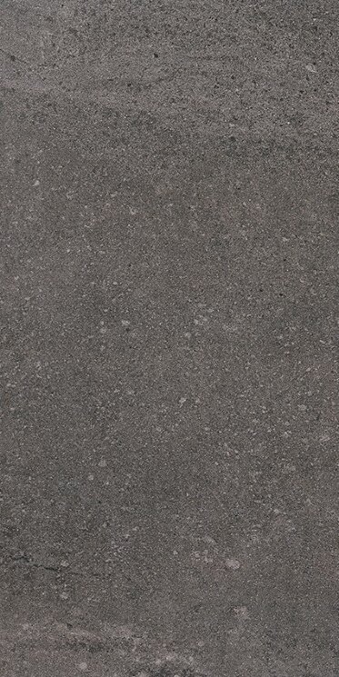 Плитка (29.6x59.2) 31212125T1 Lavastone Antracite Rect - Lavastone з колекції Lavastone Revigres