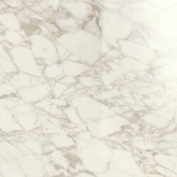 Плитка 120x120 Maiora Marble Effect Arabescato Glossy Ret R6Rx