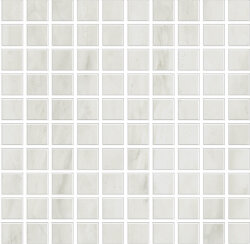 Мозаїка (30x30) MQVG Mosaico Quadretti Grey Lapp - Venus