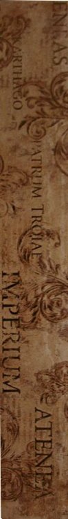 Бордюр (10х75) IMPERIUM SAND з колекції Geneve APE