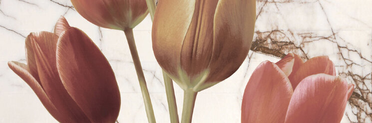 Декор (25x75) Decor Tulip 2 - Finland з колекції Finland Mallol