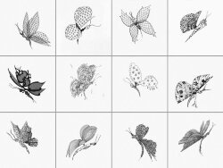 Декор (20x20) Madama Butterfly (set 12pcs) - (Bianco L.111) - Madama Butterfly