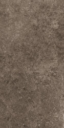 Плитка (30x60) EG-SS20 Rare Dark Nat/Rtt - Secret Stone