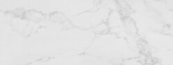 Плитка G270 Marmol Carrara Blanco 45X120