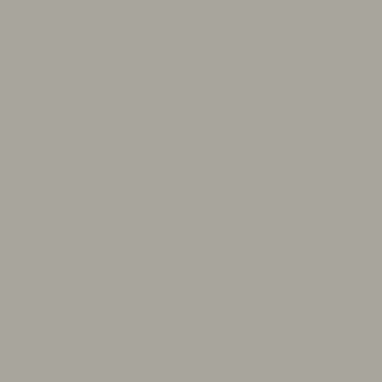 Плитка (23.7x23.7) 149019 Light Grey Rect - Moodboard з колекції Moodboard Settecento
