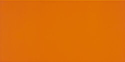 Плитка (25x50.2) IC070 Orange Matt - Icon