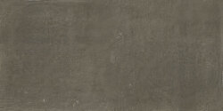 Плитка (47.8x97) 170012 Cenere Rettificato - Terrae