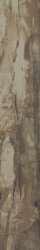 Плитка (16x99.5) PO1660R Petrified Wood Brown Rettificato - Petrified Wood