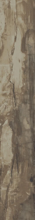 Плитка (16x99.5) PO1660RL Petrified Wood Brown Rett/Lapp - Petrified Wood з колекції Petrified Wood Ascot