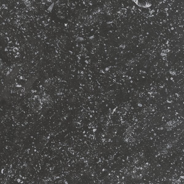 Плитка (20x20) 23572 Coralstone black Eq-4 - Coralstone з колекції Coralstone Equipe