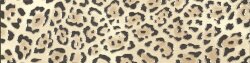 Бордюр (10x40) Lel 144 F. Do Bianco Leopardo - Zoo Design