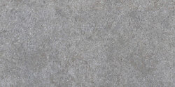 Плитка (40x80) 138015 Grey Rett - Shellstone