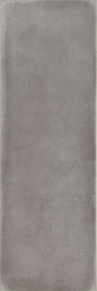 Плитка (60x20) 562124 Terre Cenere - Terre з колекції Terre Iris