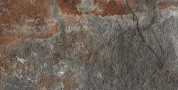 Плитка Fossil Two Rett - 50x100 129072 Geology Плитка Fossil Two Rett - 50x100 129072 Geology