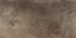 Плитка Evolution Titanio Lapatto 49.1Х98.2 R Плитка Evolution Titanio Lapatto 49.1Х98.2 R
