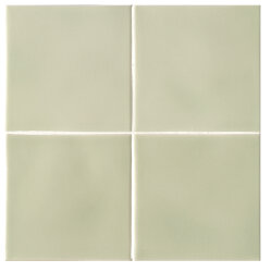 (13x13) ES04 Felce - Essenze (13x13) ES04 Felce - Essenze