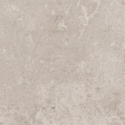 Плитка TIMELESS 600 TAUPE RET - 60x60 PF00020183 Timeless Плитка TIMELESS 600 TAUPE RET - 60x60 PF00020183 Timeless