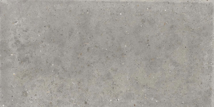 Плитка Pirenei Grey R 11 - 60x120 10530 Poetry Stone з колекції Poetry Stone ABK Плитка Pirenei Grey R 11 - 60x120 10530 Poetry Stone з колекції Poetry Stone ABK