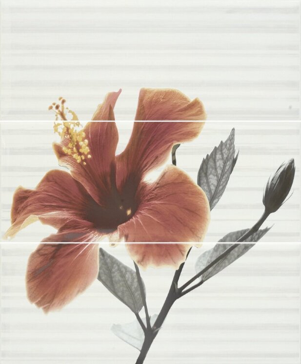 Декор (20x50) A015745 Decorset hibiscus - Rich з колекції Project Ape