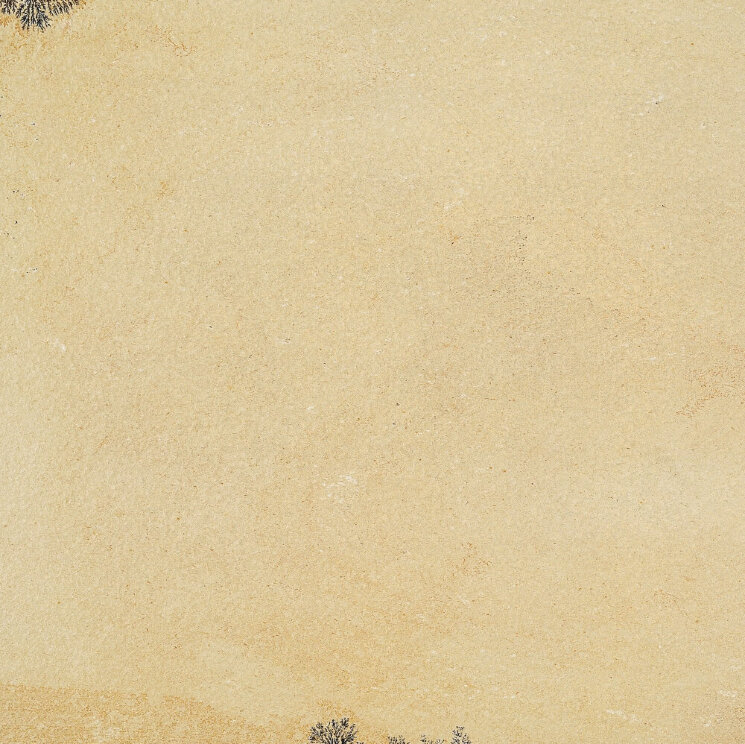 Плитка (60.4x60.4) FO609R Fossilia Dorato R - Fossilia з колекції Fossilia COEM Плитка (60.4x60.4) FO609R Fossilia Dorato R - Fossilia з колекції Fossilia COEM