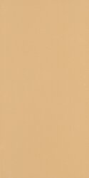 Плитка (45x90) Tecnika Amber Mate - Tecnika Плитка (45x90) Tecnika Amber Mate - Tecnika