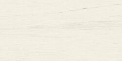 Плитка Marvel Bianco Dolomite 160x320RT Lappato AO5X Плитка Marvel Bianco Dolomite 160x320RT Lappato AO5X