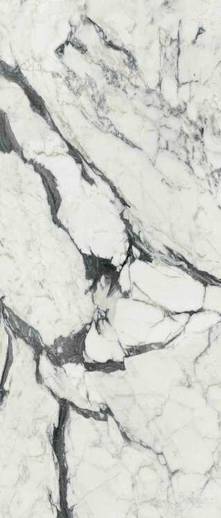 Плитка 120x280 Les Bijoux Calacatta Altissimo Blanc Glossy - Les Bijoux de Rex - 765697 з колекції Les Bijoux de Rex Rex Плитка 120x280 Les Bijoux Calacatta Altissimo Blanc Glossy - Les Bijoux de Rex - 765697 з колекції Les Bijoux de Rex Rex