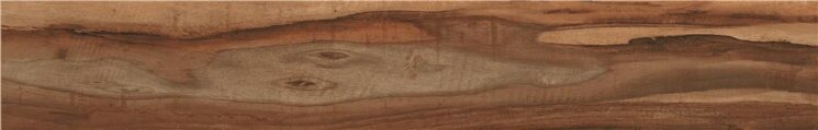 Плитка Viejo 23.3x120 Dreamwood STN з колекції Dreamwood STN Плитка Viejo 23.3x120 Dreamwood STN з колекції Dreamwood STN