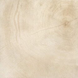 Плитка (60x60) 60651P Marrow Bianco Lucidato - W-Age Плитка (60x60) 60651P Marrow Bianco Lucidato - W-Age