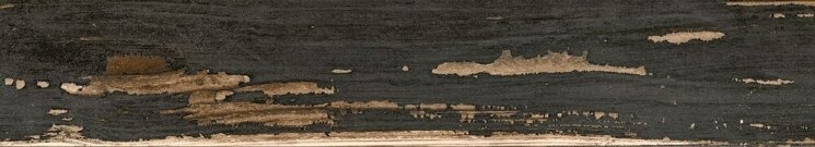 Плитка (20x122.5) 18324 BURN-N/20 - Foresta Burn з колекції Foresta Burn Peronda