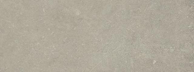 Плитка Neutral Gris 120x280 Esprit Rex з колекції Esprit Rex Плитка Neutral Gris 120x280 Esprit Rex з колекції Esprit Rex