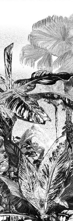 Плитка 100x300 BLCA122D Velvet touch Bulbo Daintree з колекції Daintree Bulbo Плитка 100x300 BLCA122D Velvet touch Bulbo Daintree з колекції Daintree Bulbo