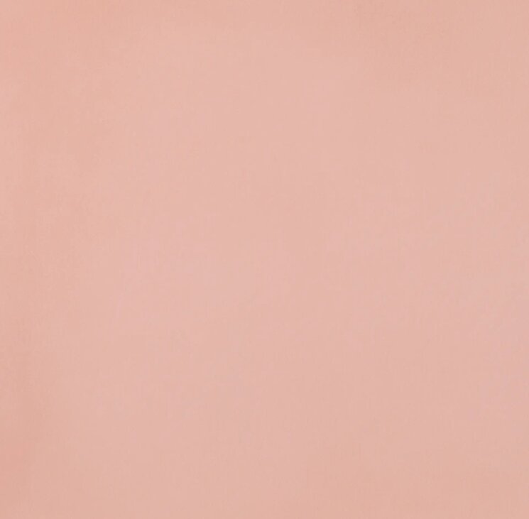 Плитка 60x60 11950035 R-Evolution Light Pink Casalgrande Padana R-Evolution з колекції R-Evolution Casalgrande Padana Плитка 60x60 11950035 R-Evolution Light Pink Casalgrande Padana R-Evolution з колекції R-Evolution Casalgrande Padana