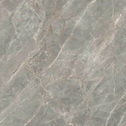 Плитка 80x80 Etoile Gris Glossy Ret - Etoile de Rex - 761671 Плитка 80x80 Etoile Gris Glossy Ret - Etoile de Rex - 761671