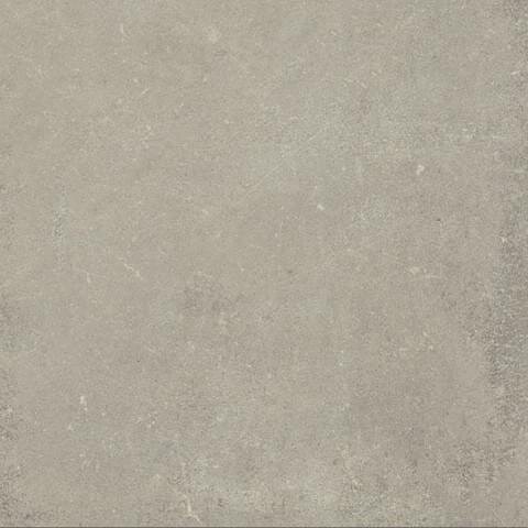 Плитка Neutral Gris 120x120 Esprit Rex з колекції Esprit Rex Плитка Neutral Gris 120x120 Esprit Rex з колекції Esprit Rex