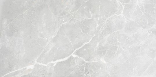 FIORI DI BOSCO GREY 59х119 з колекції Fiori Di Bosco Monopole FIORI DI BOSCO GREY 59х119 з колекції Fiori Di Bosco Monopole