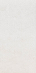 Плитка (30x60.4) PF00007579 Explorer 3060Bianco Buc - Explorer Плитка (30x60.4) PF00007579 Explorer 3060Bianco Buc - Explorer