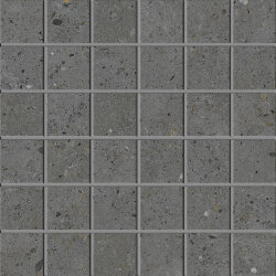 Мозаїка 30x30 Dark Grey Mosaico - Biophilic - P009531 Мозаїка 30x30 Dark Grey Mosaico - Biophilic - P009531