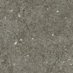 Плитка Pietre Pure Vicenza Roc - 20x20 7278601 Pietre Pure Плитка Pietre Pure Vicenza Roc - 20x20 7278601 Pietre Pure