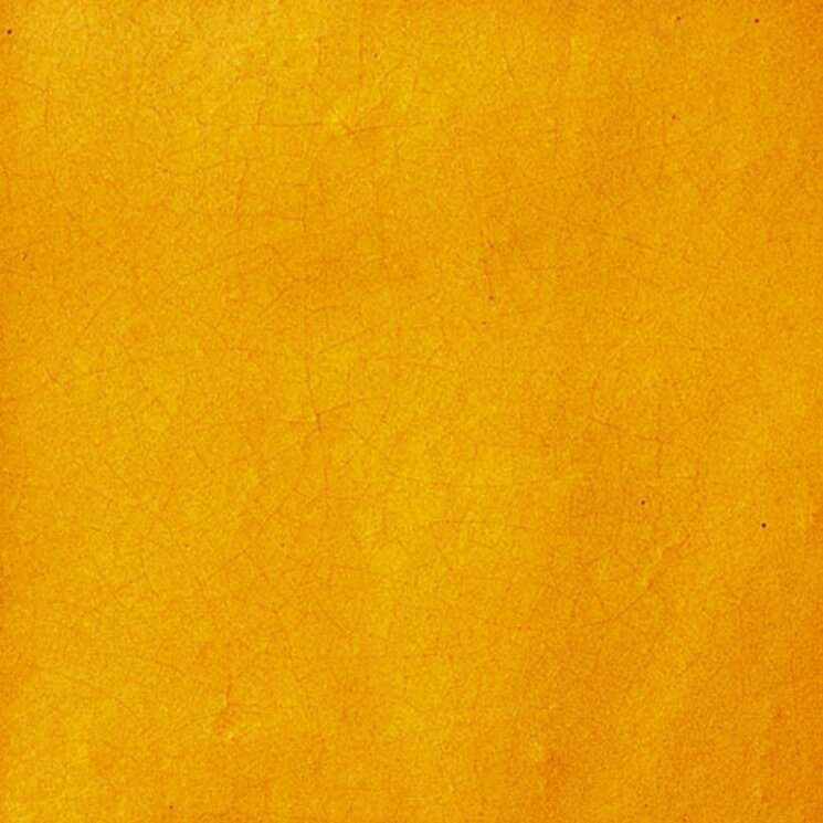 Плитка (20x20) Giallo Reale Quadrato - Cotto Salernitano з колекції Cotto Salernitano Giovanni De Maio Плитка (20x20) Giallo Reale Quadrato - Cotto Salernitano з колекції Cotto Salernitano Giovanni De Maio