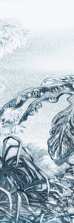 Плитка 100x300 BLCA123C Velvet touch Bulbo Daintree з колекції Daintree Bulbo Плитка 100x300 BLCA123C Velvet touch Bulbo Daintree з колекції Daintree Bulbo