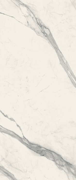 Плитка 120x278 Maximvs Statuario W. C - Maximvs - 63102 з колекції Maximvs Versace Плитка 120x278 Maximvs Statuario W. C - Maximvs - 63102 з колекції Maximvs Versace