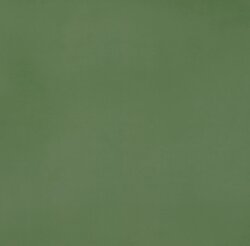 Плитка 60x60 11951134 R-Evolution GreenR10 Casalgrande Padana R-Evolution Плитка 60x60 11951134 R-Evolution GreenR10 Casalgrande Padana R-Evolution