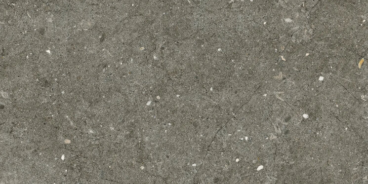 Плитка Pietre Pure Vicenza Roc Ret - 30x60 7280095 Pietre Pure з колекції Pietre Pure Alfalux Плитка Pietre Pure Vicenza Roc Ret - 30x60 7280095 Pietre Pure з колекції Pietre Pure Alfalux