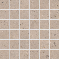 Мозаїка 30x30 Grey Mosaico - Biophilic - P009530 Мозаїка 30x30 Grey Mosaico - Biophilic - P009530