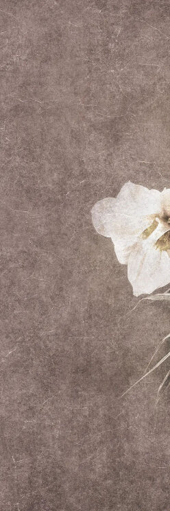 Плитка Brown Velvet touch - 100x300 BLLI042A Decadence з колекції Decadence Bulbo Плитка Brown Velvet touch - 100x300 BLLI042A Decadence з колекції Decadence Bulbo