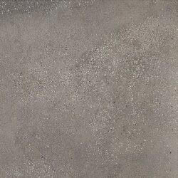 Плитка (60.4x60.4) IC600R - I Cocci Плитка (60.4x60.4) IC600R - I Cocci