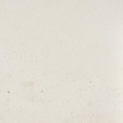 Плитка (60.4x60.4) IC601R - I Cocci Плитка (60.4x60.4) IC601R - I Cocci